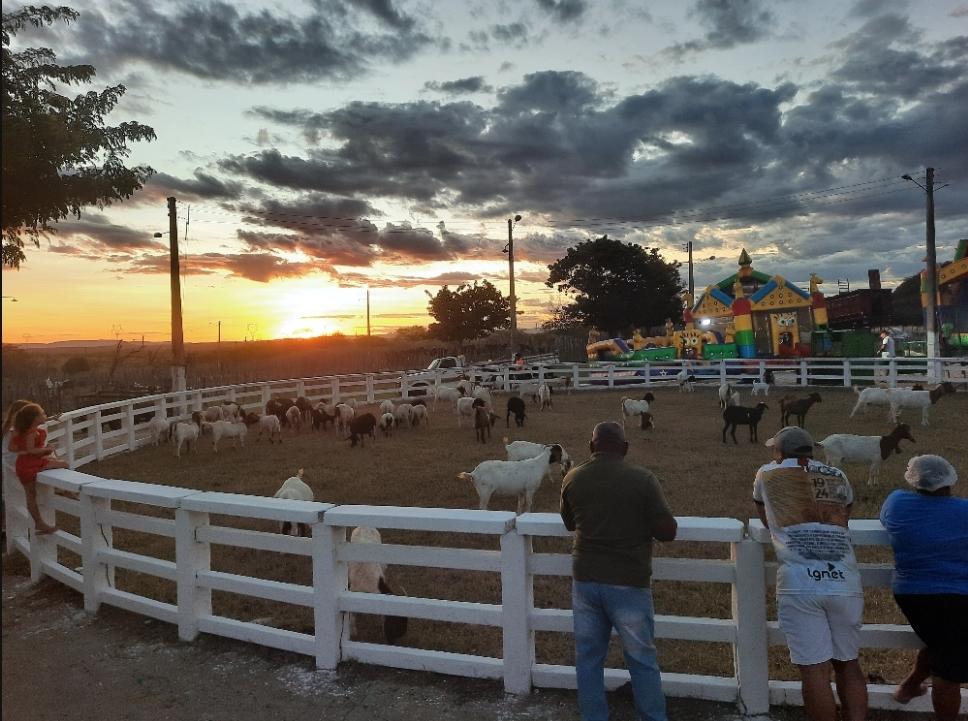 Programação da XVII Expo Leite em Piancó prossegue até este domingo